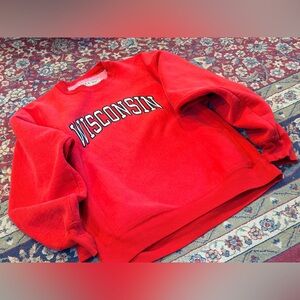 Steve And Barry’s Wisconsin Red Sweat Shirt (M)